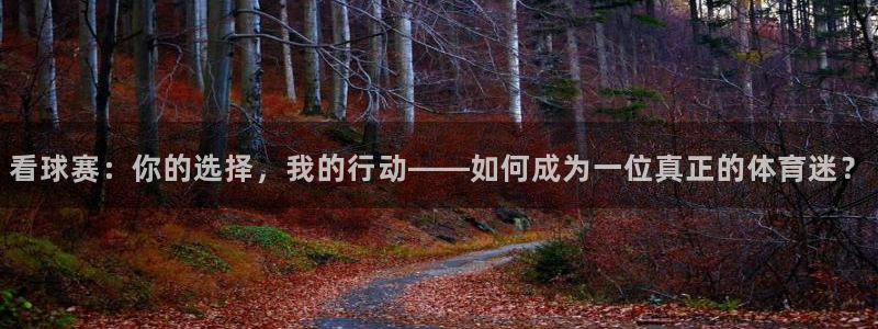 看球赛：你的选择，我的行动——如何成为一位真正的体育迷？