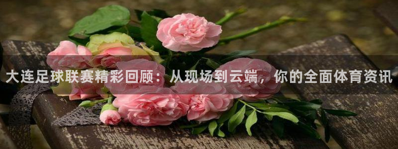 大连足球联赛精彩回顾：从现场到云端，你的全面体育资讯