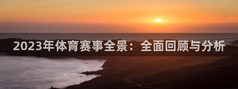 2023年体育赛事全景：全面回顾与分析