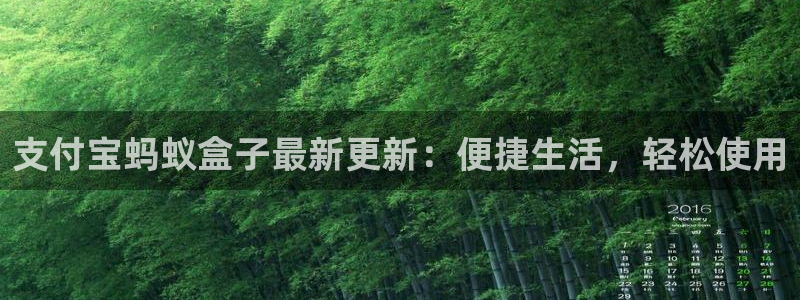 支付宝蚂蚁盒子最新更新：便捷生活，轻松使用