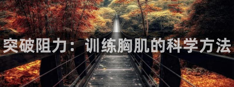 突破阻力：训练胸肌的科学方法