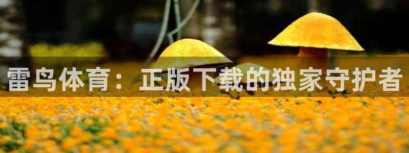 雷鸟体育：正版下载的独家守护者