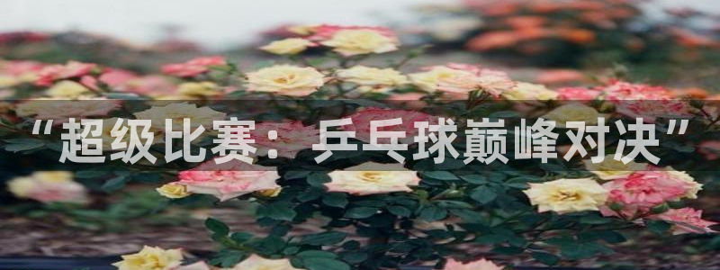 “超级比赛：乒乓球巅峰对决”