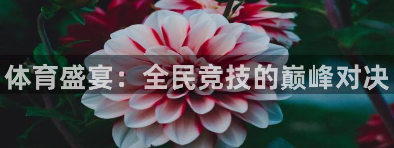 骑鲸鱼