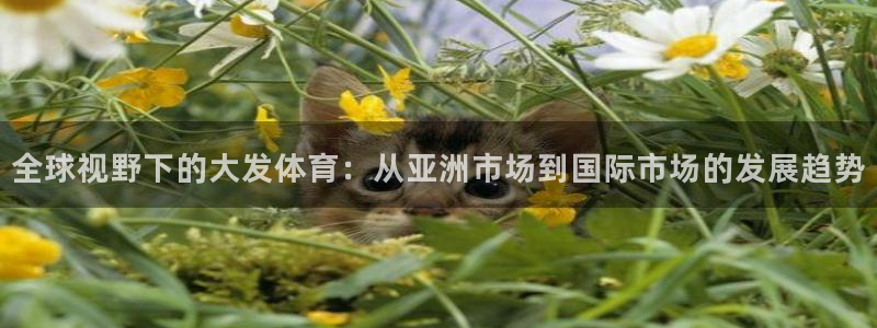 鲸鱼读书卡