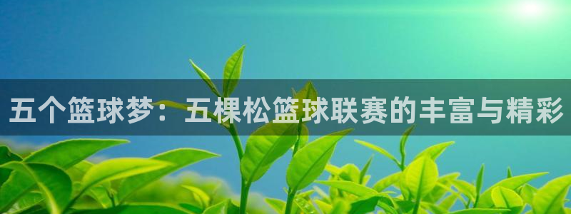 鲸鱼体育下载app：五个篮球梦：五棵松篮球联赛的丰富与精彩