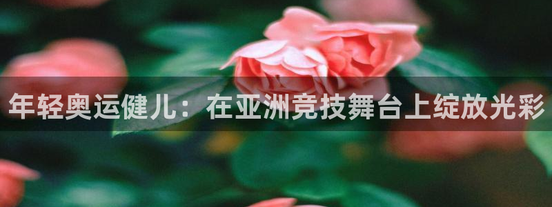 粉鲸鱼