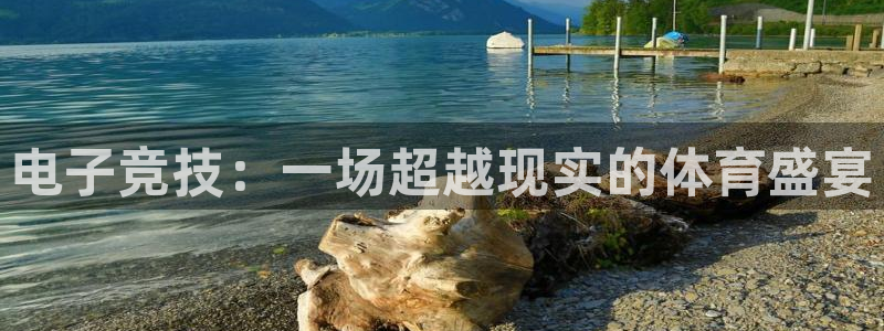 鲸鱼体育看nba为啥手机登录：电子竞技：一场超越现实的体育盛宴