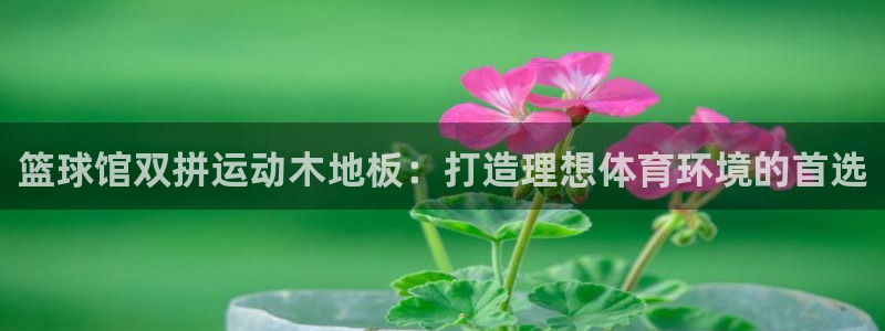 鲸鱼耳坠：篮球馆双拼运动木地板：打造理想体育环境的首选