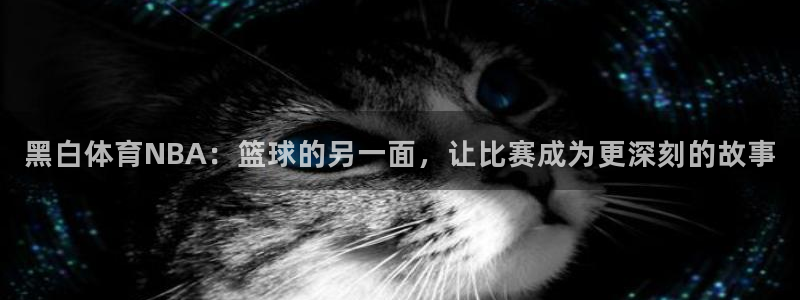 鲸鱼视频app：黑白体育NBA：篮球的另一面，让比赛成为更深刻的故事