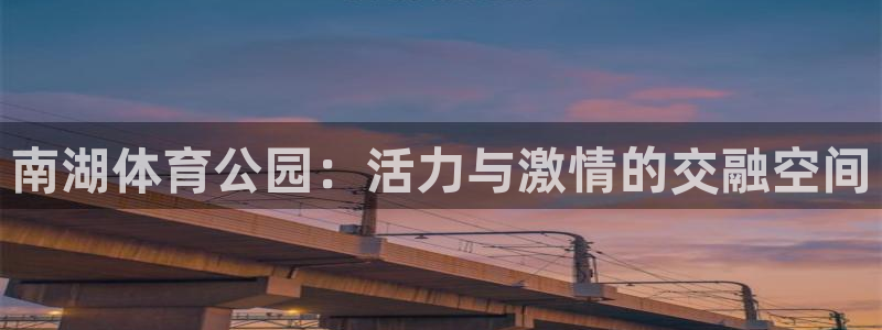 柯氏鲸鱼：南湖体育公园：活力与激情的交融空间