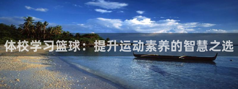 鲸鱼体育直播在线观看：体校学习篮球：提升运动素养的智慧之选